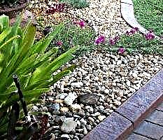 35 photos, how to use stones and boulders in landscape design