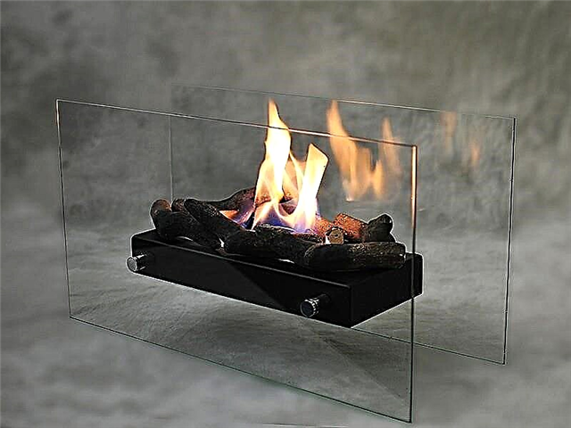 Glass fireplace