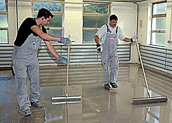 Epoxy floors: features, scope and installation technology