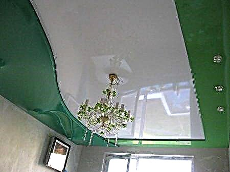 أسقف منحوتة: ميزات إنتاج الهياكل المنحوتة مع الإضاءة الخلفية