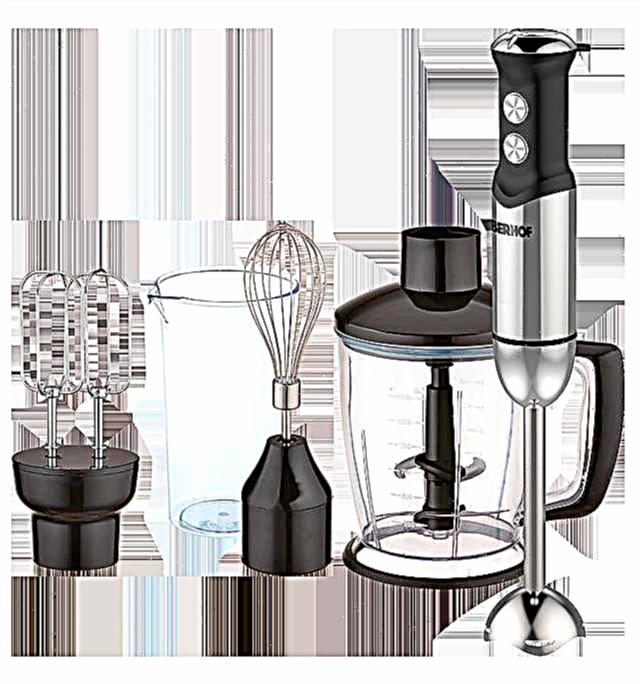 How to choose a hand blender (2019)