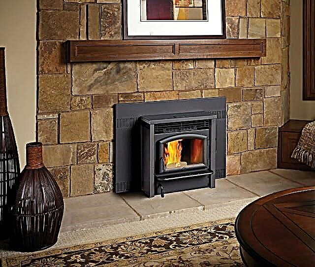 Pellet fireplace: overview, models and variations