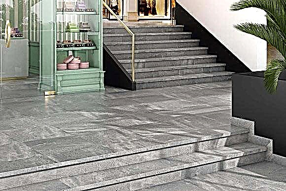 All about porcelain stoneware steps