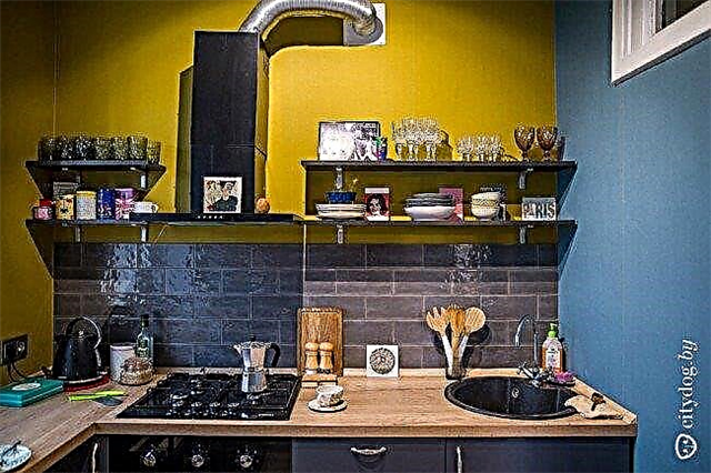 بلاط المطبخ: أفضل الأفكار لتزيين الحائط فوق منطقة العمل