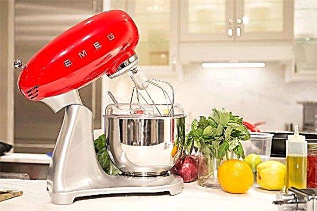 20 best mixers with bowl and hand
