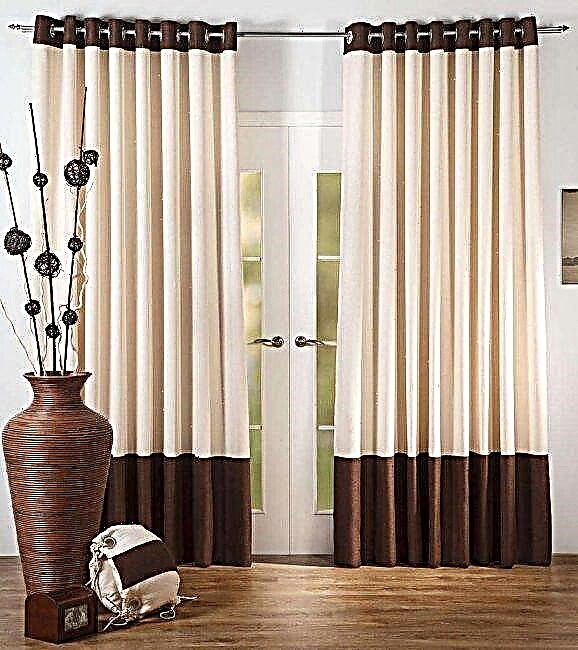 Curtains on grommets - modern design ideas, beautiful applications and design rules (120 photo video)