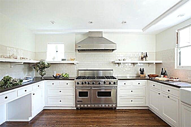 Kitchen design without overhead cupboards
