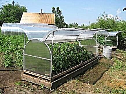 How to choose a polycarbonate greenhouse