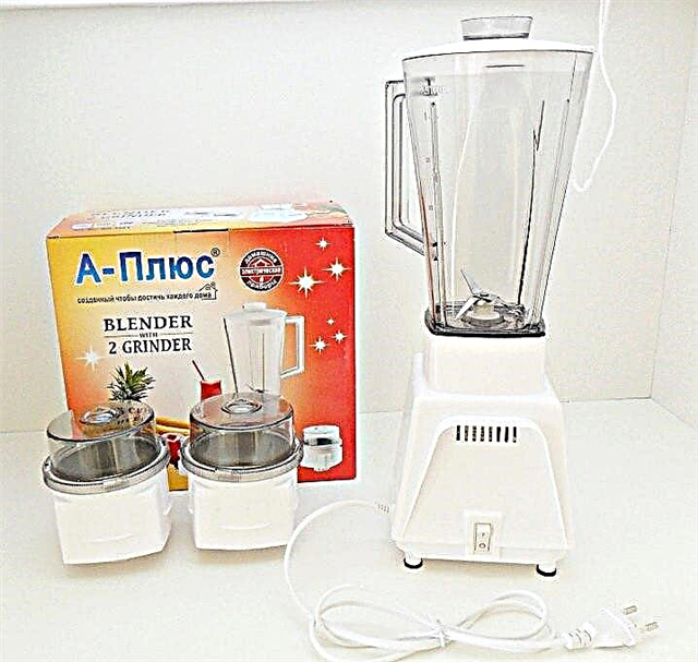The choice between a blender and a coffee grinder