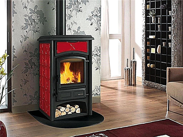 Nordica暖炉ストーブ-モデル、機能、レビュー