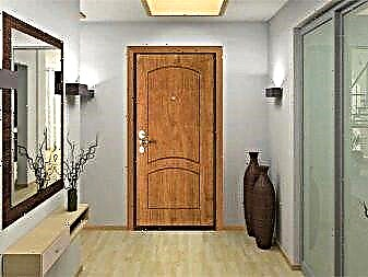 Entrance Doors Became Specifications, Collections, Reviews