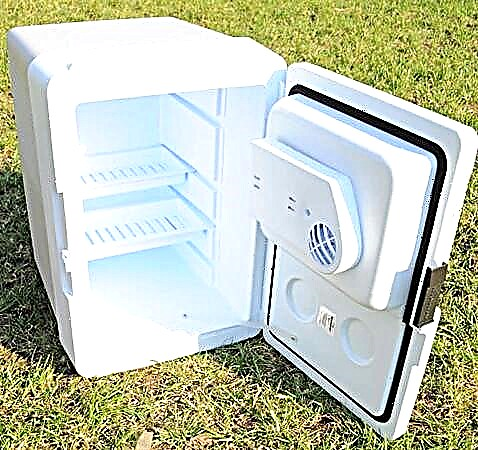 Termoelektrični hladilnik: prednosti in slabosti