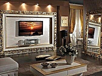 Design de interiores da sala de estar: decorar uma parede com uma TV
