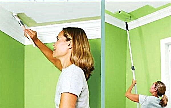古い塗料を使用して天井を水性塗料で塗装する方法