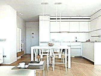 Küche im Wohnzimmer im High-Tech-Stil: Merkmale eines modernen Interieurs