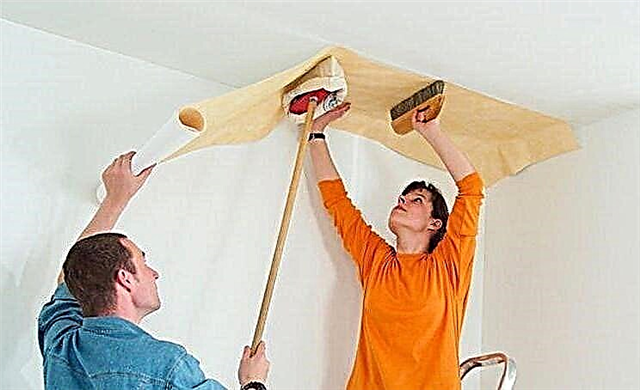 What are the types of ceilings: stretch, suspended, plasterboard, plaster, painting, wallpaper, etc.