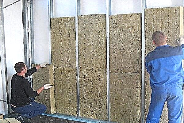 We warmly insulate the garage from the inside with our own hands: how to insulate the walls with foam