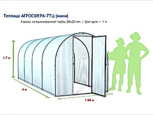 Az üvegházak fajtáinak áttekintése Agrosphere