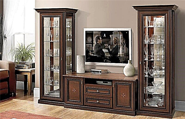 Wardrobe for the living room - 100 photos of the most functional and stylish furniture for any interior!
