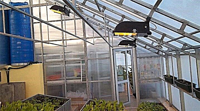 Heating for greenhouses: infrared heaters