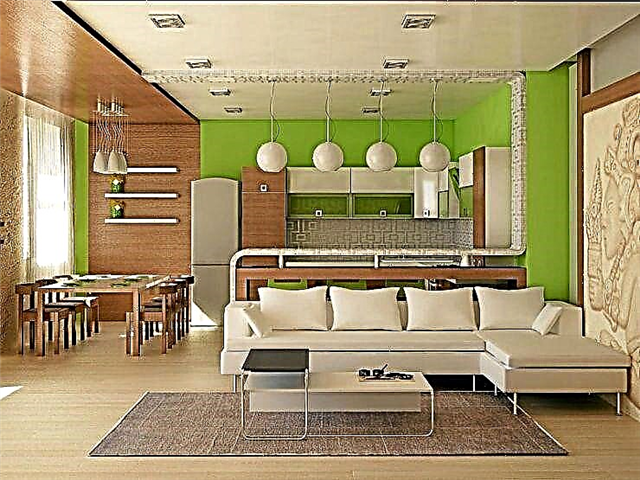 Cocina combinada con la sala de estar: 107 fotos e ideas de diseño de interiores