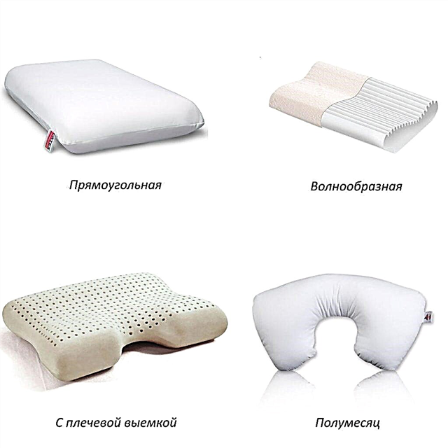 Rating of pillows for sleeping: the best anatomical models 2019–2020 from reliable manufacturers (top 10)