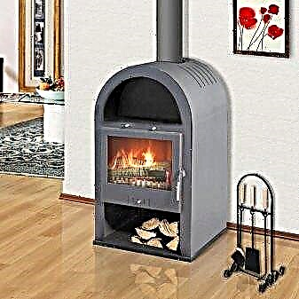 Angara Aqua 12 - description of the stove-fireplace company - Meta