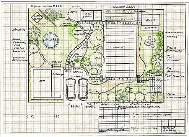 Everything about the layout of the plot on 10 acres