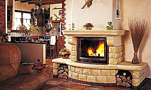 Fireplace trim with decorative stone