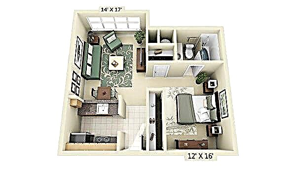تصميم شقة من غرفة واحدة: 6 خطوات مع صور حقيقية