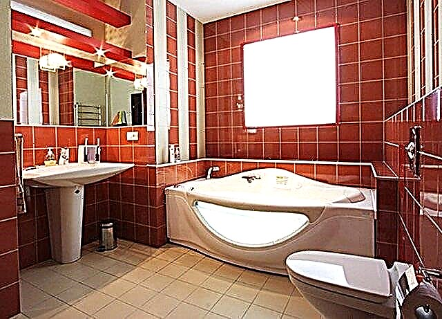 Designet af at lægge fliser i badeværelset og funktionerne ved valg af materiale