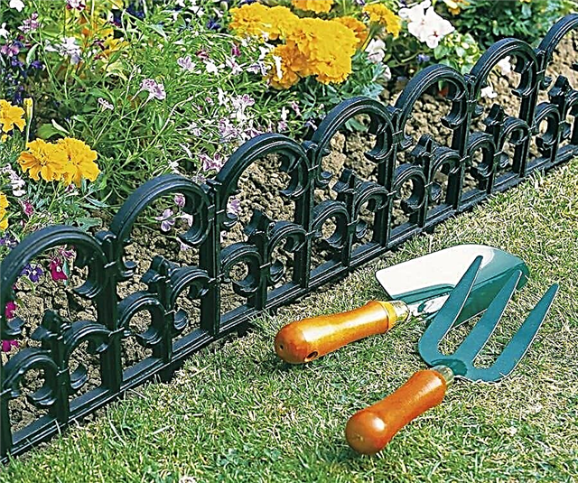 Garden curb: an overview of the varieties of fences and the process of building them yourself (100 photos)