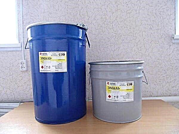 Properties and application of primer-enamel ХВ-0278