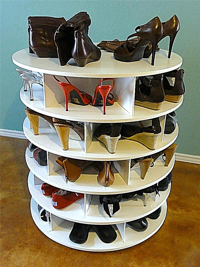 Wardrobe, shelf, dresser for shoes - choose a shoe rack