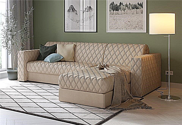 Interior del dormitorio con un sofá (47 fotos): matices de elección, opciones de ubicación, tipos y decisiones de estilo