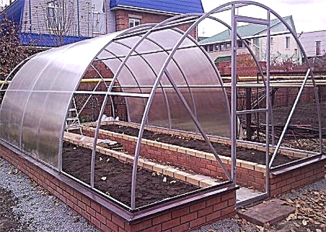 Do-it-yourself greenhouse and greenhouse from a profile pipe