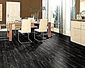 Linoleum dark in the room: photos, tips for choosing a shade, care features