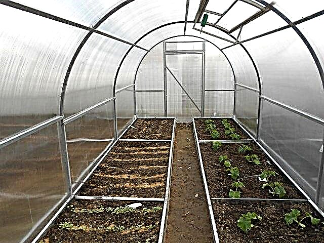Jak správně vybavit skleník uvnitř - pohodlná práce a velkorysá sklizeň