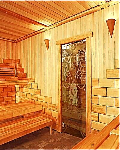Portas de vidro ou madeira para um banho: quais são melhores para uma sauna a vapor?