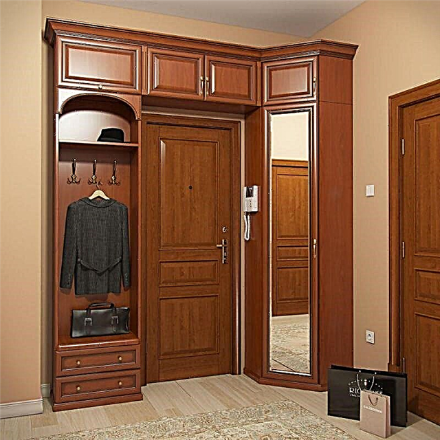 How to choose the design and construction of the cabinet in the hallway