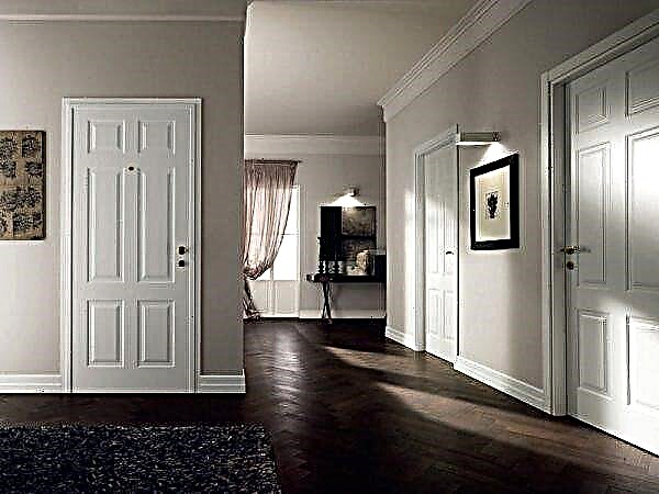 How to combine the color of doors and floors in the interior