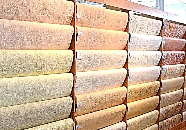 Cómo pegar papel tapiz en el techo de hormigón, paneles de yeso, madera contrachapada y OSB