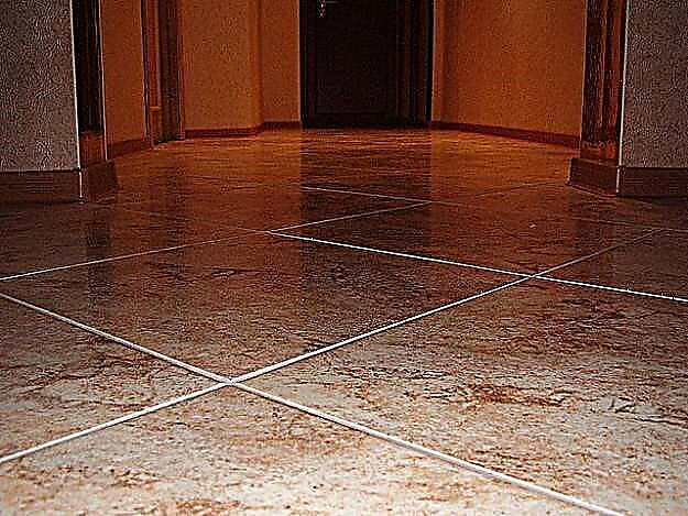 Hallway Floor Tiles: Design Ideas, Tips for Choosing and Laying