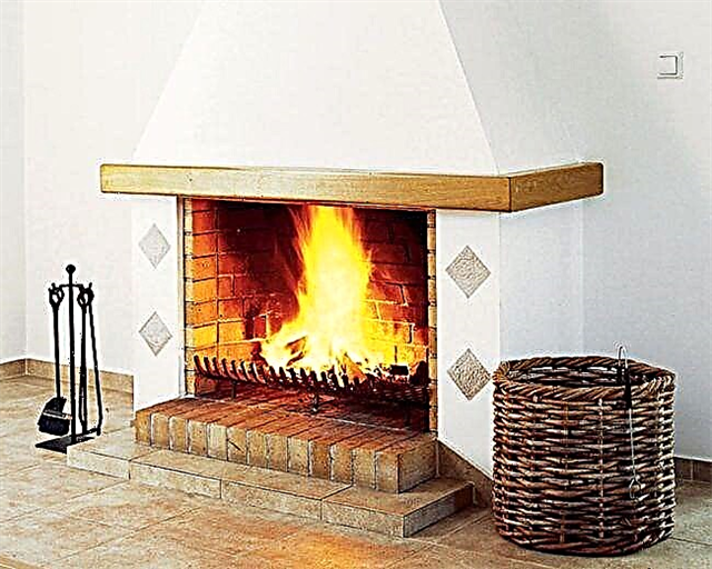 We select and mount a cast iron firebox for a fireplace with glass: a detailed step-by-step instruction
