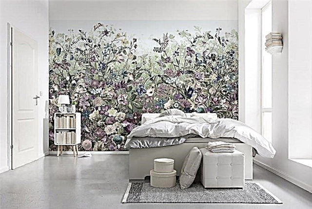 Wall mural in the bedroom: 60 photos and ideas