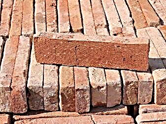 Antique brick tile: unusual interior finishes