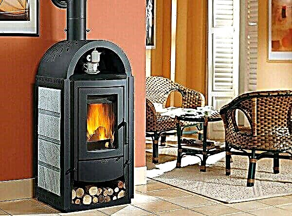 Wood burning stoves
