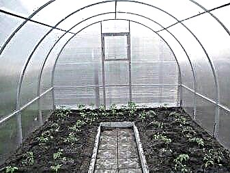 Invernadero "cosechable" (25 fotos): invernadero de agrofibra de 8 y 6 m de tamaño, instrucciones de montaje, revisiones de calidad