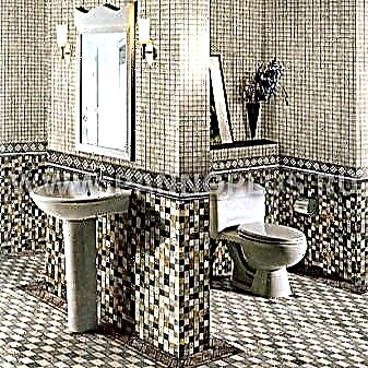 Mosaic in the toilet: examples of spectacular finishes