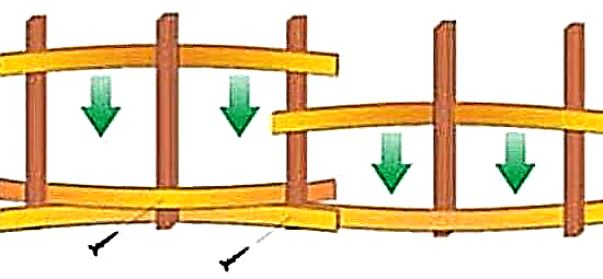 Pletena ograda: napravite samu živicu